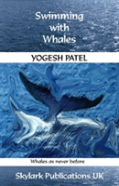 Swimming With Whales