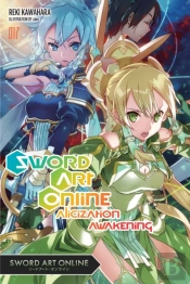 Sword Art Online 17 (Light Novel)