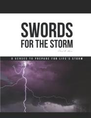 Swords For The Storm