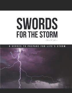 Bertrand.pt - Swords For The Storm