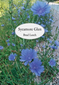 Bertrand.pt - Sycamore Glen