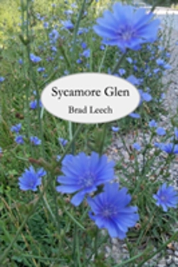 Bertrand.pt - Sycamore Glen