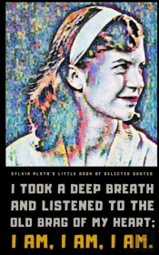 Sylvia Plath'S Little Book Of Selected Quotes