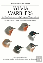 Sylvia Warblers
