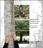 Sylvothérapie : Comment Utiliser L'Énergie Des Arbres Pour Votre Santé