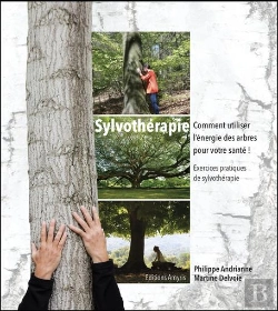 Bertrand.pt - Sylvothérapie : Comment Utiliser L'Énergie Des Arbres Pour Votre Santé