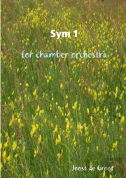 Sym 1 For Chamber Orchestra