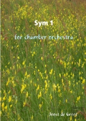 Sym 1 For Chamber Orchestra