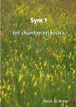 Bertrand.pt - Sym 1 For Chamber Orchestra