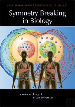 Bertrand.pt - Symmetry Breaking In Biology