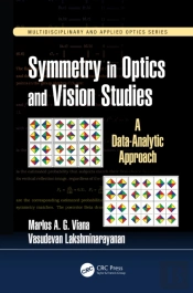 Symmetry In Optics And Vision Studies