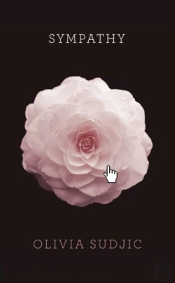 Bertrand.pt - Sympathy