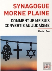 Synagogue Morne Plaine