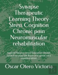 Synapse Therapeutic Learning Theory Stress Cognition Chronic Pain Neuromuscular Rehabilitation