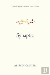 Synaptic