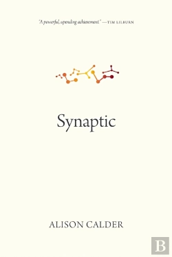 Bertrand.pt - Synaptic