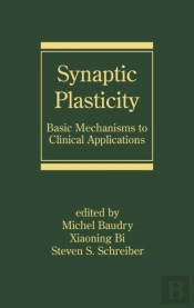 Synaptic Plasticity