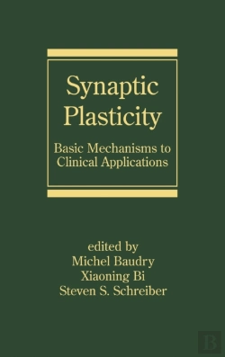 Bertrand.pt - Synaptic Plasticity
