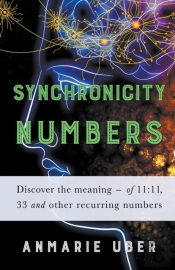 Synchronicity Numbers