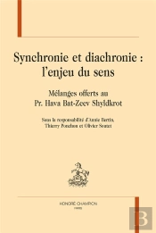 Synchronie Et Diachronie : L'Enjeu Du Sens ; Mélanges Offerts Au Pr. Hava Bat-Zeev Shyldkrot