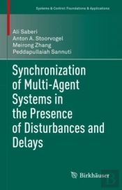 Synchronization Of Multi-Agent Systems In The Presence Of Disturbances And Delays