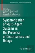 Synchronization Of Multi-Agent Systems In The Presence Of Disturbances And Delays