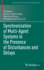Synchronization Of Multi-Agent Systems In The Presence Of Disturbances And Delays