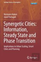 Synergetic Cities: Information, Steady State And Phase Transition