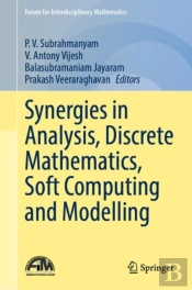 Synergies In Analysis, Discrete Mathematics, Soft Computing And Modelling