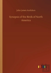 Synopsis Of The Birds Of North America