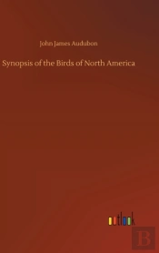 Synopsis Of The Birds Of North America