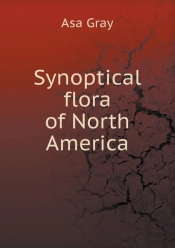 Synoptical Flora Of North America