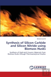 Synthesis Of Silicon Carbide And Silicon Nitride Using Biomass Husks