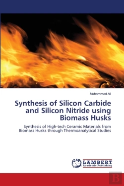 Bertrand.pt - Synthesis Of Silicon Carbide And Silicon Nitride Using Biomass Husks