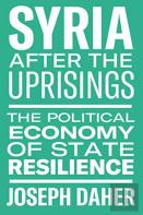 Syria After The Uprisings