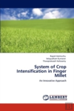 Bertrand.pt - System Of Crop Intensification In Finger Millet