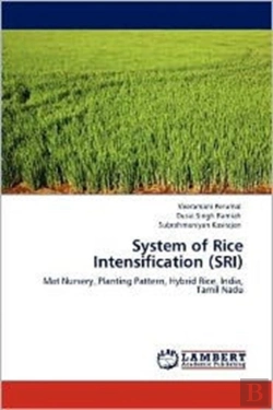 Bertrand.pt - System Of Rice Intensification (Sri)