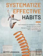 Systematize Effective Habits