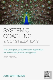 Systemic Coaching And Constellations