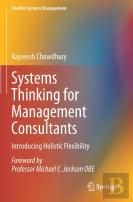 Systems Thinking For Management Consultants