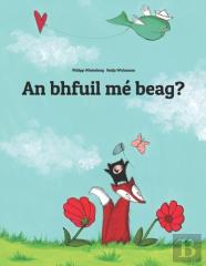 Ta Me Beag?