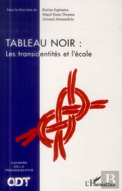 Tableau Noir : Les Transidentités Et L'École
