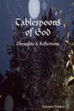 Bertrand.pt - Tablespoons Of God