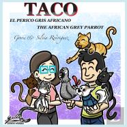 Taco