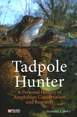 Bertrand.pt - Tadpole Hunter