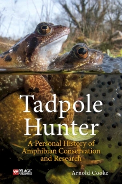 Bertrand.pt - Tadpole Hunter
