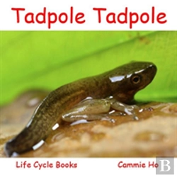 Bertrand.pt - Tadpole Tadpole