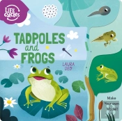 Tadpoles And Frogs