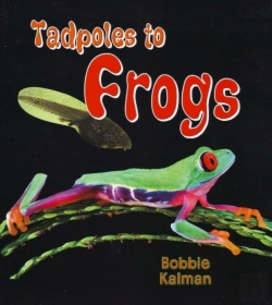 Bertrand.pt - Tadpoles To Frogs