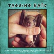 Tagging Bats